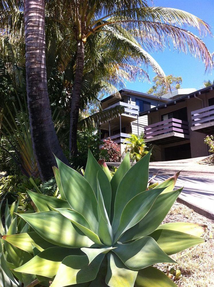 Willa Unit 1 Sunbird On Lamond Airlie Beach Zewnętrze zdjęcie